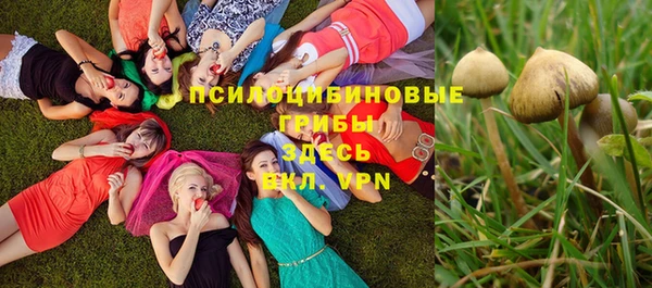 молекула духа Касимов