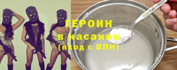 индика Алексин