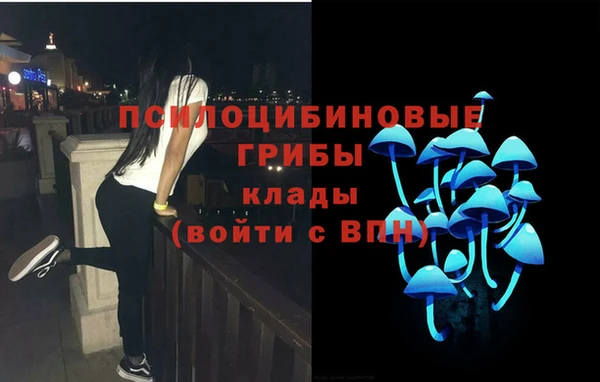 индика Алексин