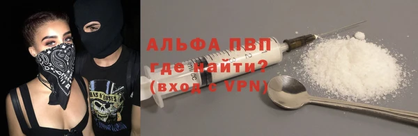 индика Алексин
