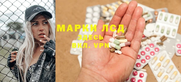индика Алексин
