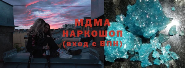 индика Алексин