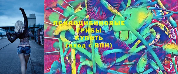 индика Алексин